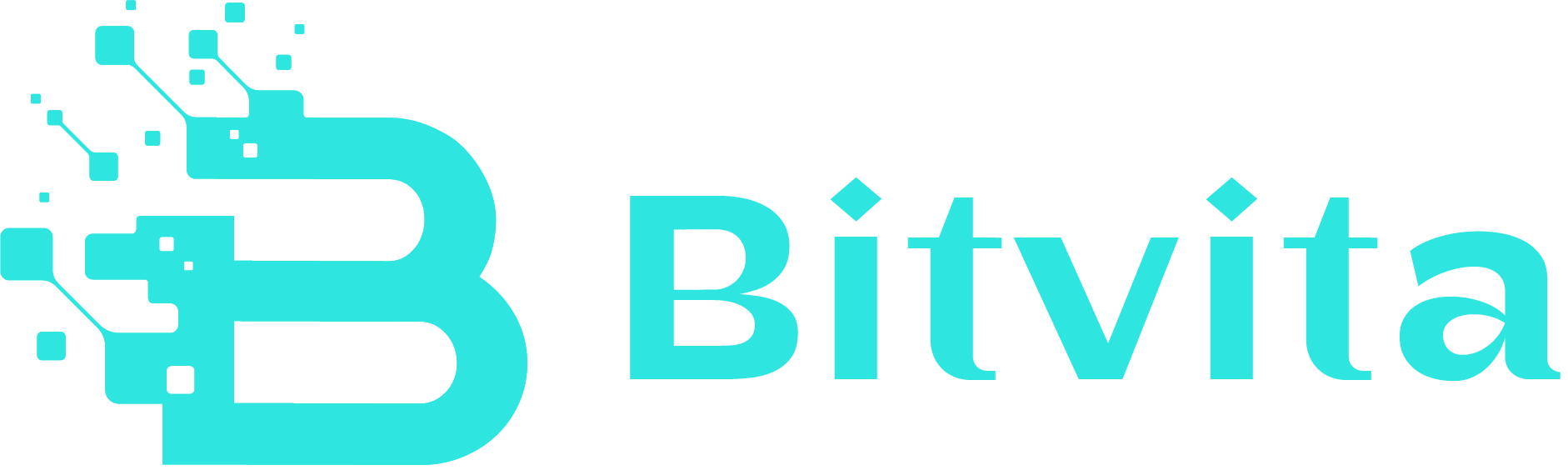 bitvita-logo